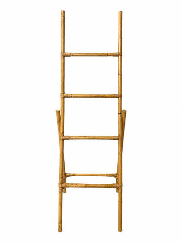 Laduro ladder