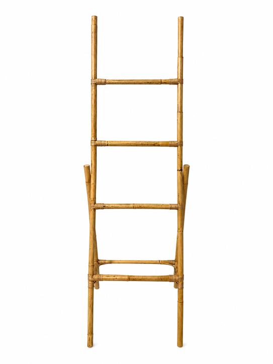 Laduro ladder